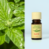 Atlantic Aromatics Basil Oil