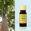 Atlantic Aromatics Eucalyptus Oil