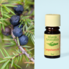 Atlantic Aromatics Junipberry OiL