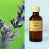 Atlantic Aromatics Lavender Oil 50ml